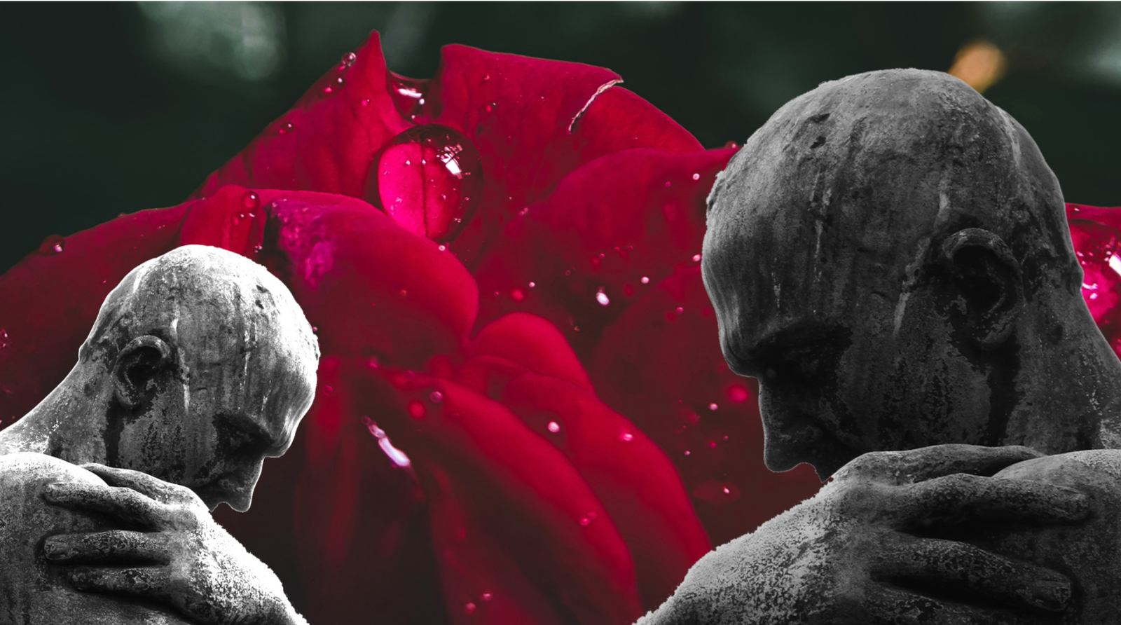 How to Rejoice in Hardship and Suffering According to Peter