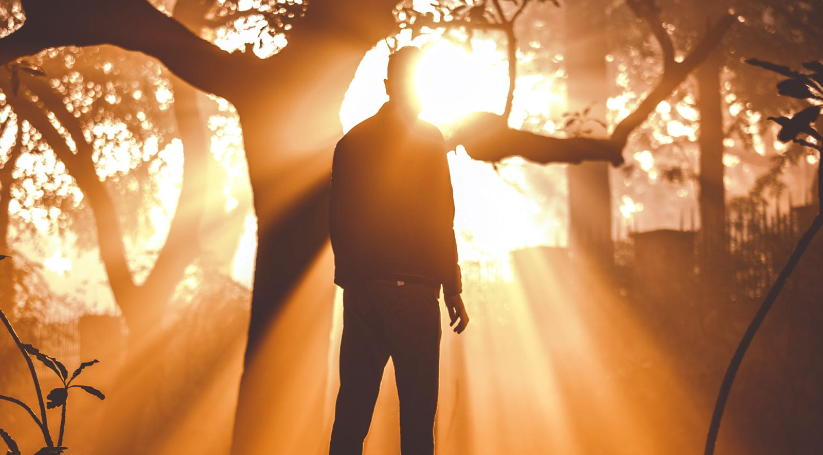 I’m a New Creation in Christ… What Is That?